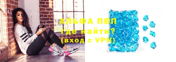 сатива Ельня