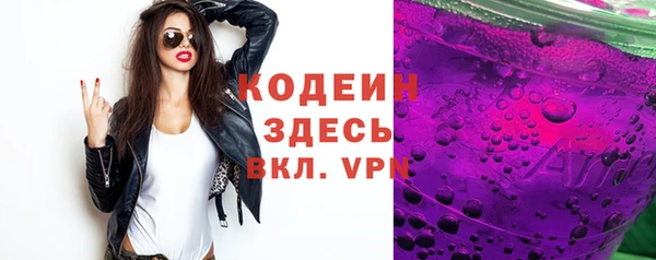 сатива Ельня