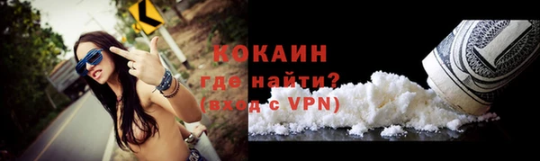 сатива Ельня