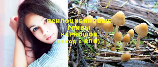 ПСИЛОЦИБИНОВЫЕ ГРИБЫ Заволжье