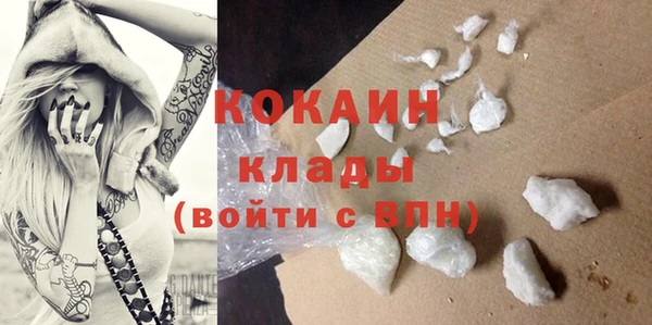 сатива Ельня