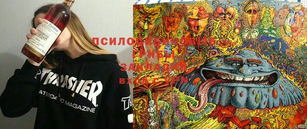 ПСИЛОЦИБИНОВЫЕ ГРИБЫ Заволжье