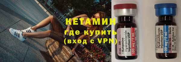 сатива Ельня