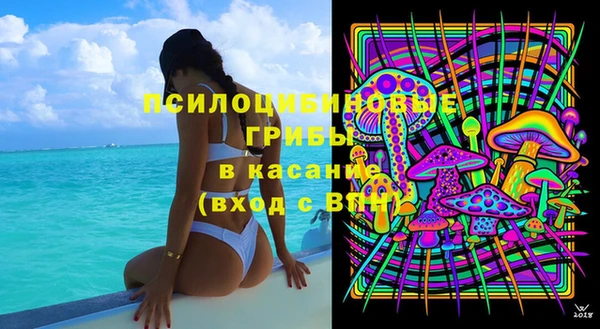 сатива Ельня