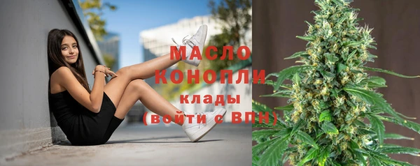 сатива Ельня